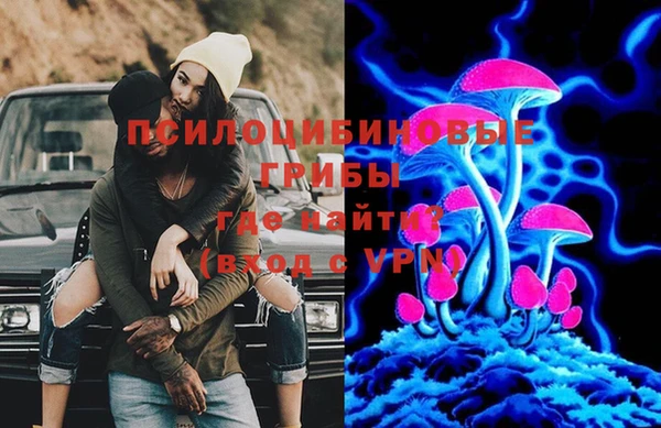ПСИЛОЦИБИНОВЫЕ ГРИБЫ Белоозёрский